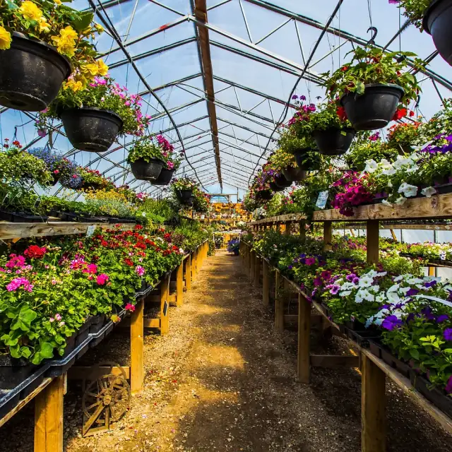 How to Optimize Greenhouse Crop Yields with Fertilizer and Peat Moss Synergy