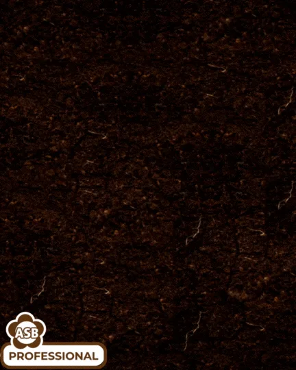 Enhancing Plant Growth with Mycorrhizal-Based Substrates