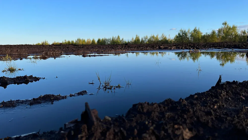 Adapting to the Peat Moss Challenge: Ensuring a Successful 2023/2024 Horticultural Season