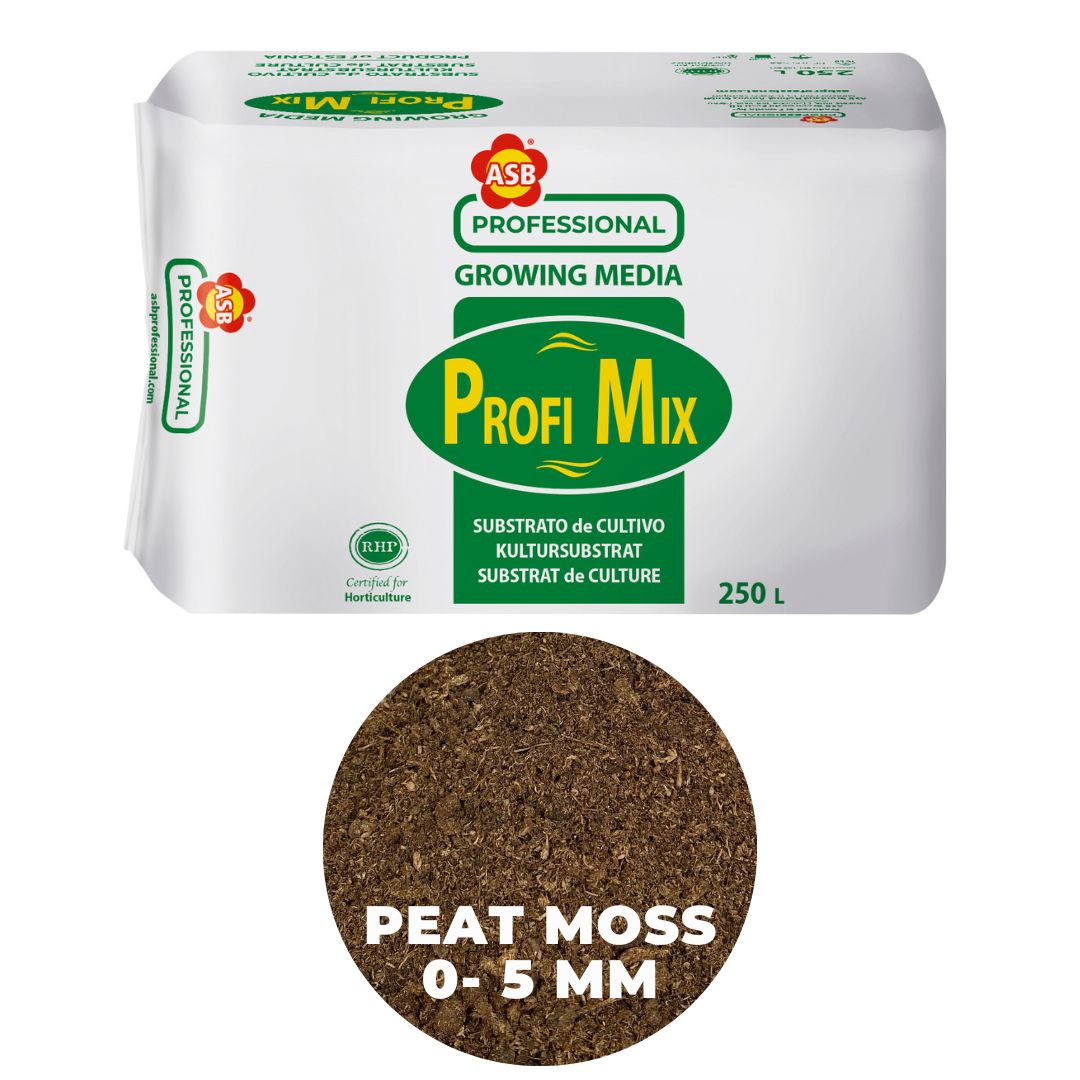 ASB Professional Substrate WP05