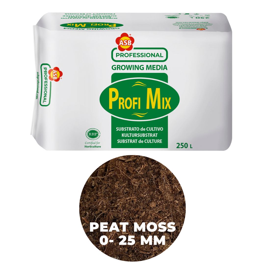 ASB Professional Substrate WP025