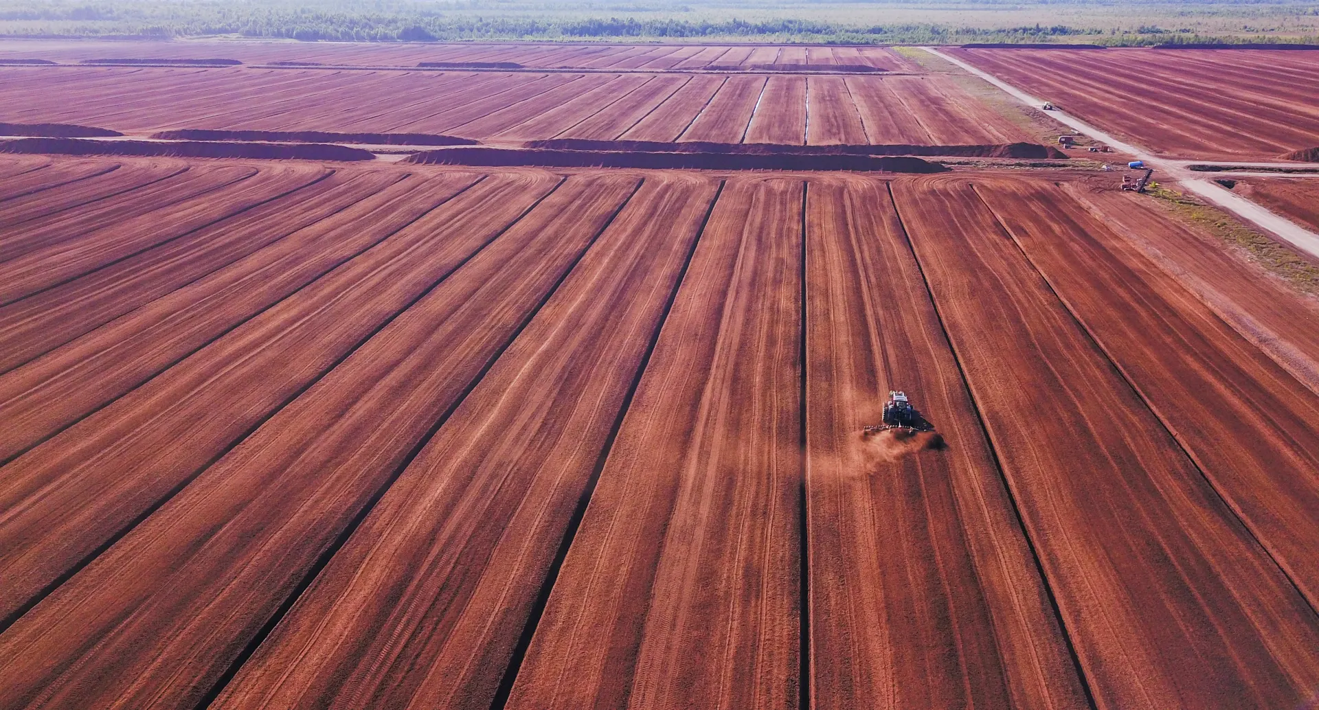 Estonian Peat Moss: From Raw Material to Professional Growing Media