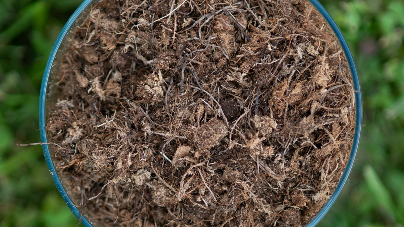 Coarse fibrous growing-media sample showing an open particle structure
