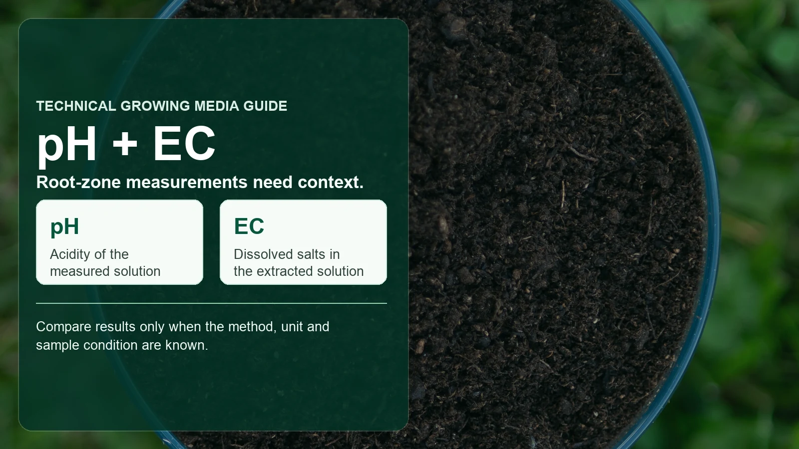 Peat Moss pH and EC: What Commercial Buyers Should Ask For