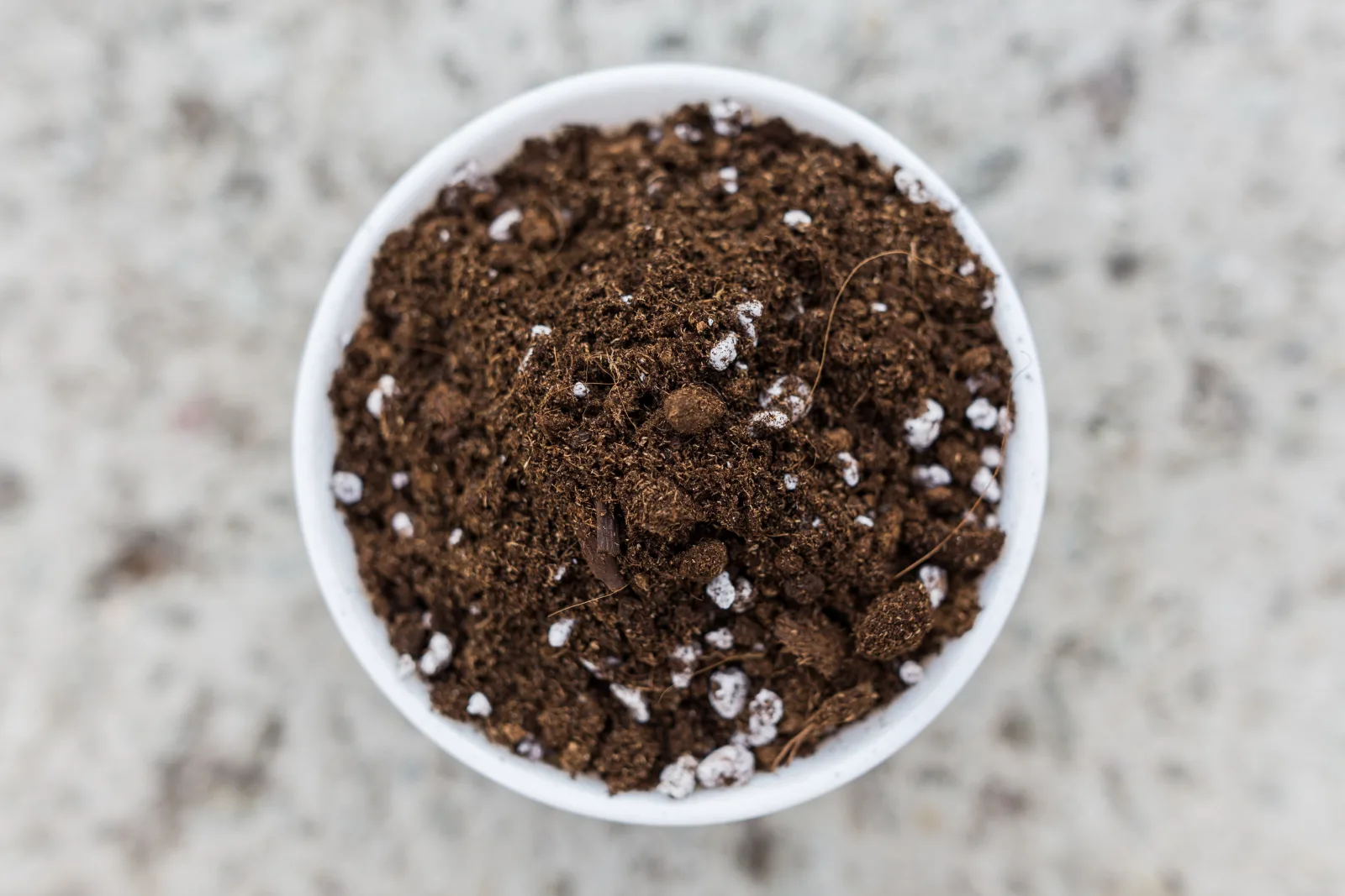 Peat-based growing medium sample with perlite for professional substrate review