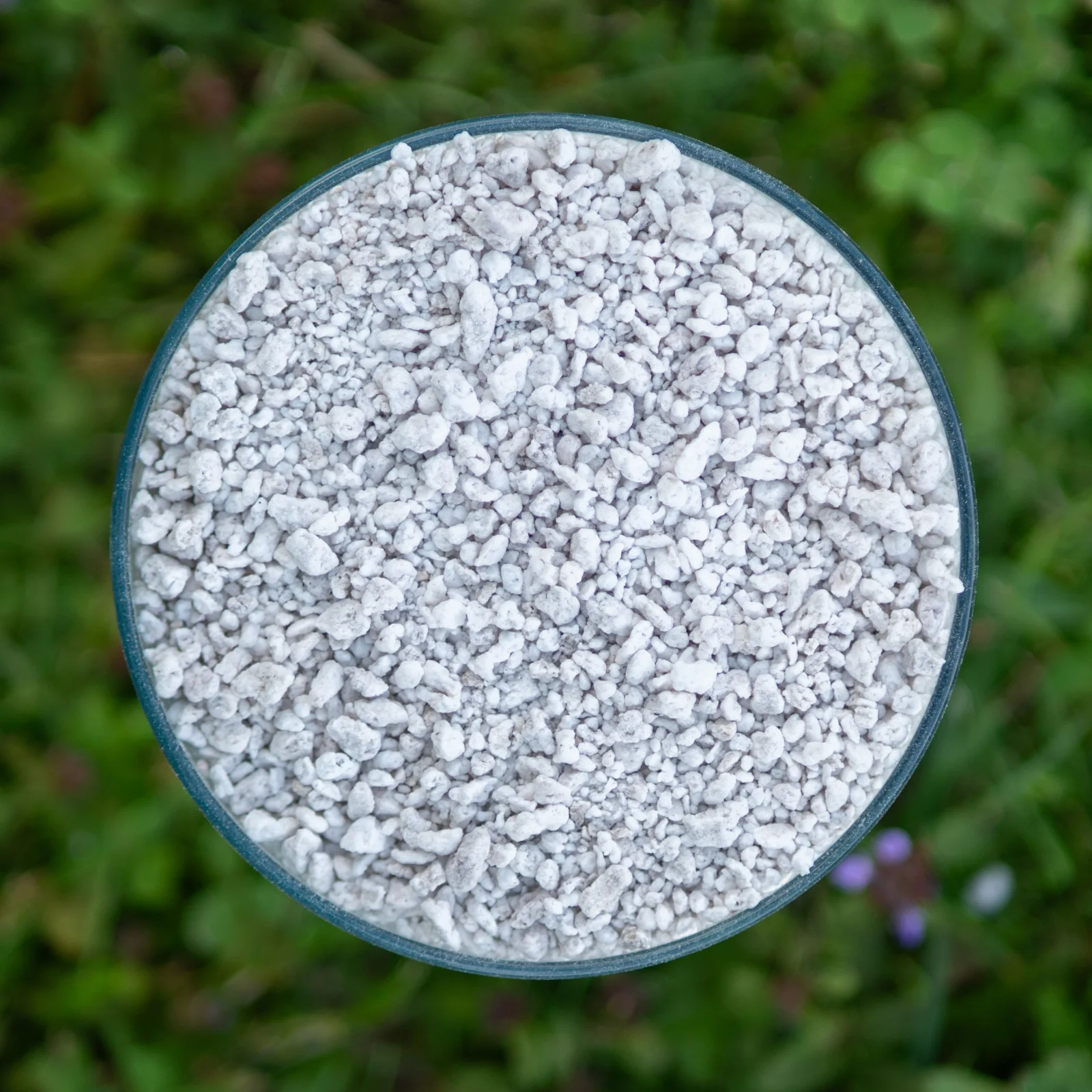 White perlite particles in a clear sample container
